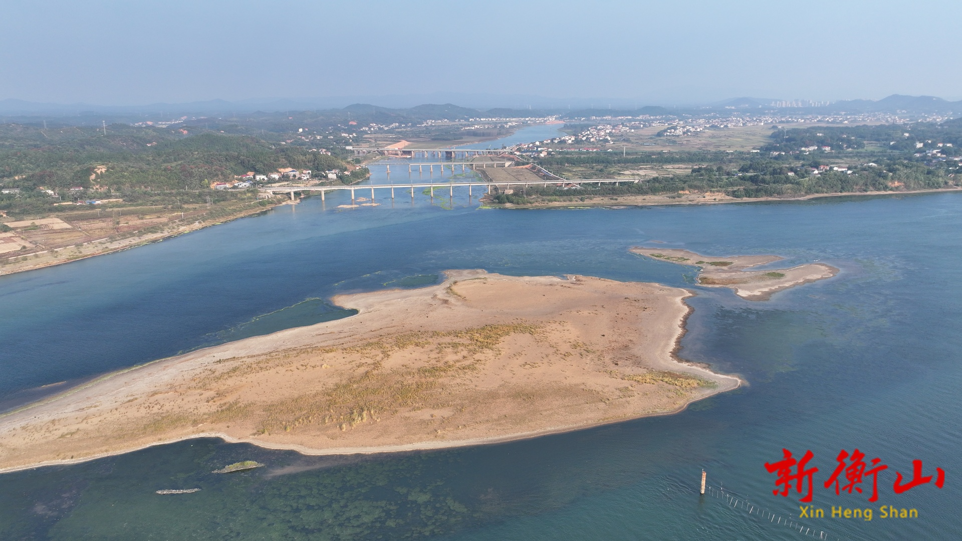 白琵鹭组团“造访”衡山萱洲国家湿地公园