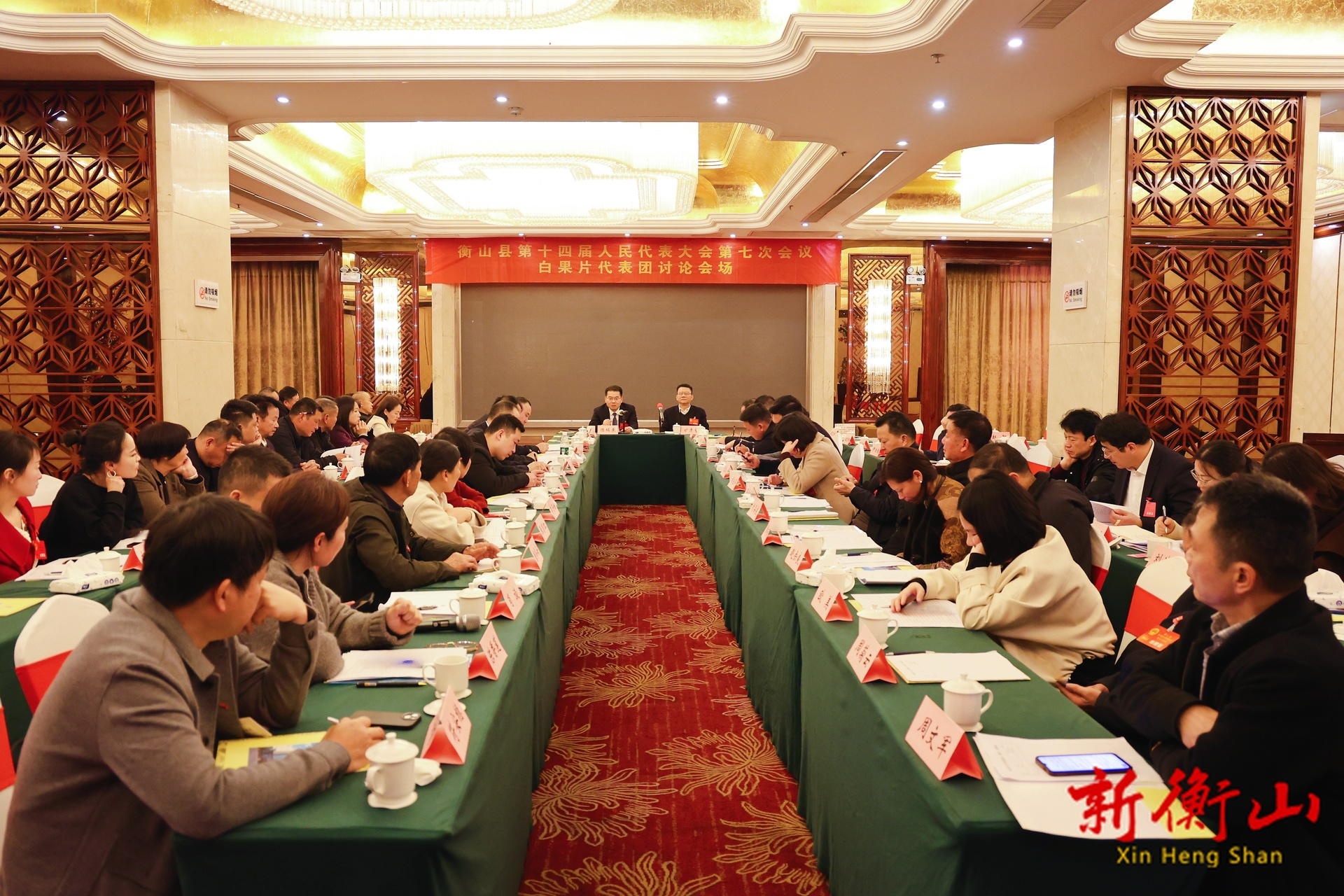 【2026衡山两会】陈瑞来参加白果片区代表团分组讨论