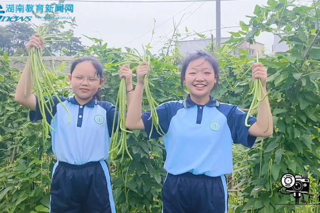 【宁乡站】宁乡市白马桥街道中心小学：“植”初心，“烹”未来（小记者：李昕甜；指导教师：张军、李杨）