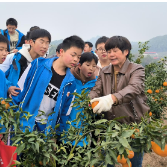 双峰县文正学校：乡土实践育新人 五育融合硕果累