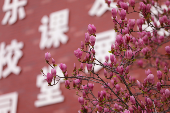 新课标背景下小学音乐非遗文化的传承与创新