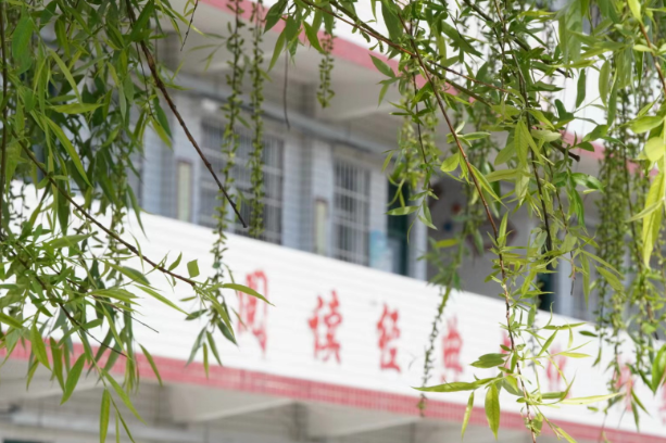 非遗传统文化侗族琵琶在小学音乐课堂的传承探究