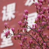 【雨湖区站】护潭学校：禁毒知识进校园 护航青春助成长
