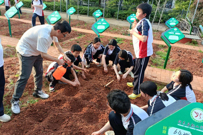 【衡东县站】杨山实验中学：劳动创造希望，汗水铸就成长
