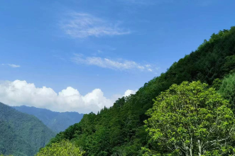 【慈利站】四季如画的天门山