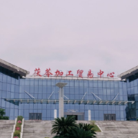 我的国我的家 | 【靖州站】从松林到餐桌：茯苓的奇妙之旅
