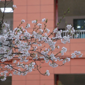 【教育故事】把希望播撒乡土,让信仰照亮征程