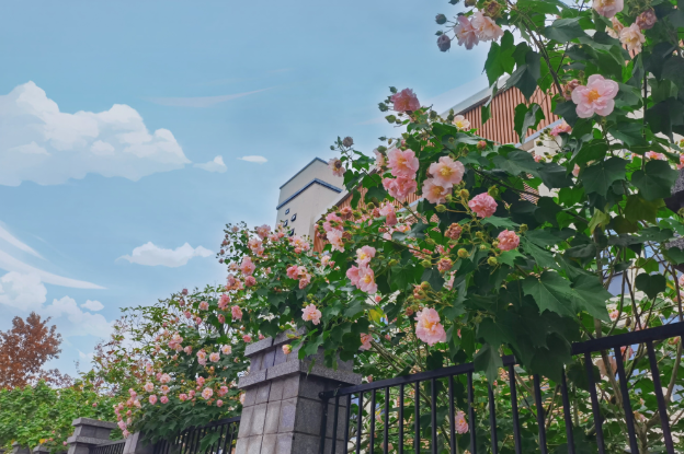 赴保靖“探亲”