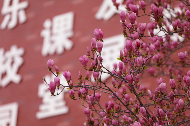 【才哥专栏】别再盲目刷题！从2026高考数学卷，读懂2027高三备考的新逻辑