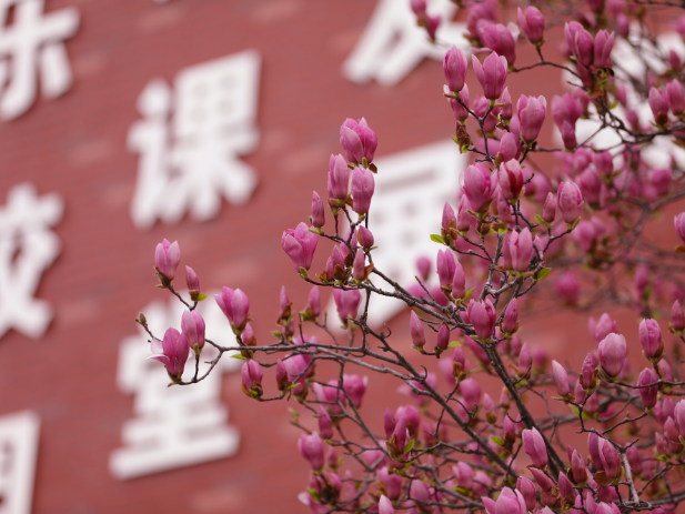 【才哥专栏】别再盲目刷题！从2026高考数学卷，读懂2027高三备考的新逻辑