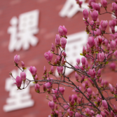 【才哥专栏】别再盲目刷题！从2026高考数学卷，读懂2027高三备考的新逻辑