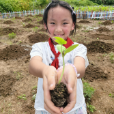 芒种学农耕，保靖县阳朝小学开展田间劳动教育活动