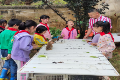 冷水江大坪小学：打造“动植物之家” 翻开自然教育新篇章