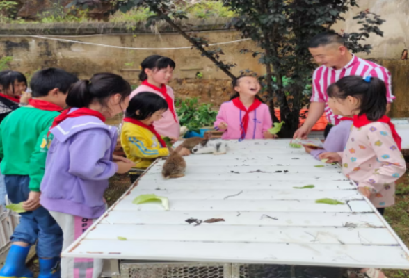 冷水江大坪小学：打造“动植物之家” 翻开自然教育新篇章