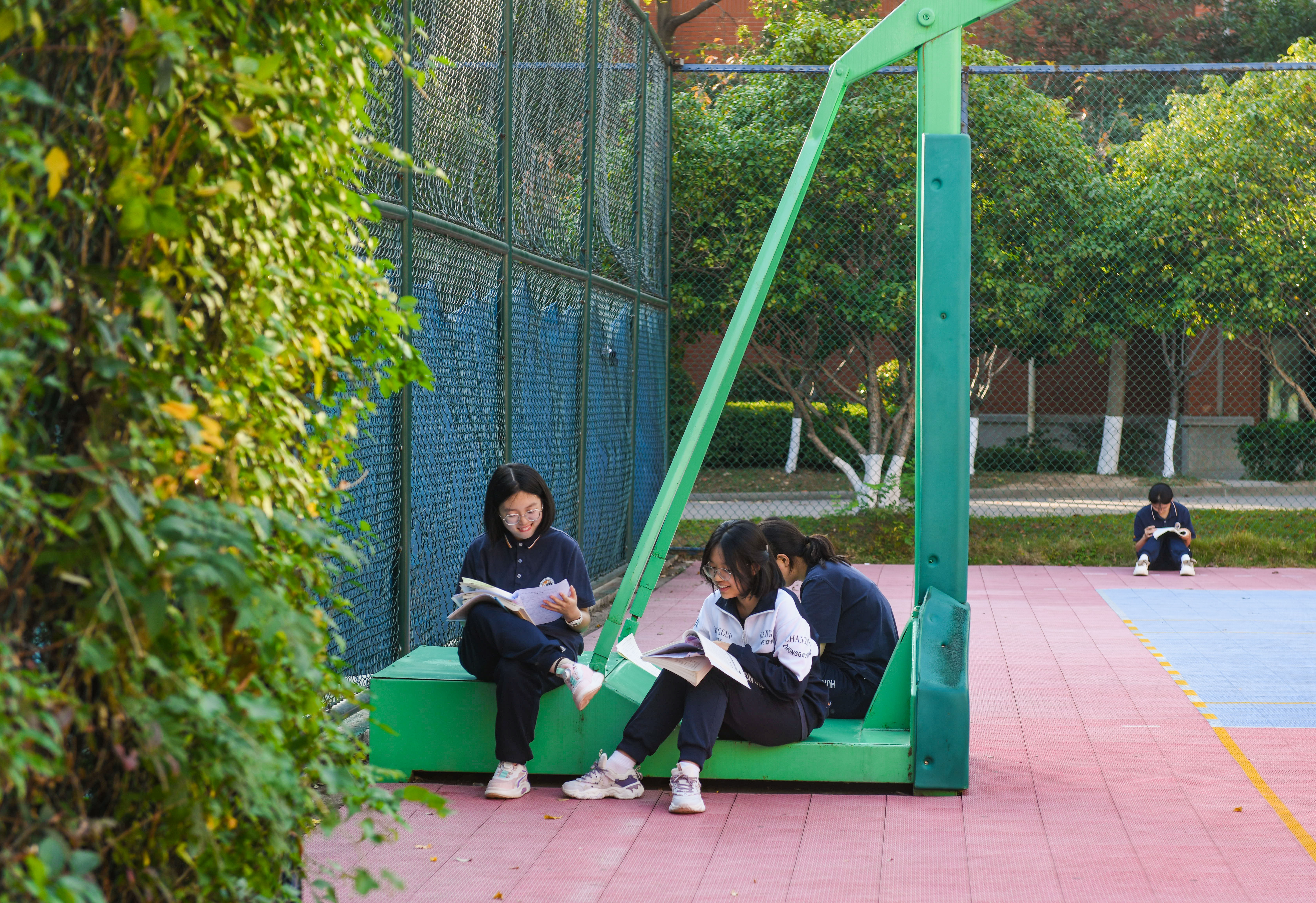 长郡梅溪湖中学校花图片