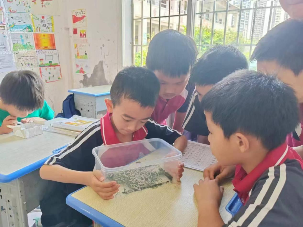 图片1.png