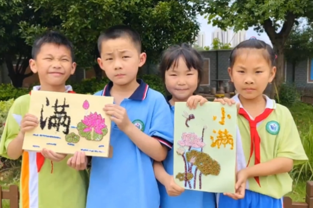 美满！长沙市天心区八局小学教师用杂粮拼小满荷花图