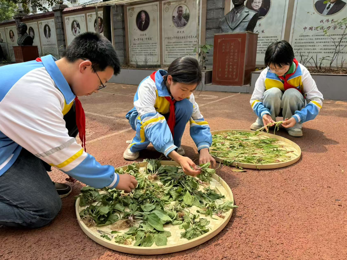 不烧钱的科学教育——湖南麻阳第一锦江小学“低耗高效”育人的破局之路