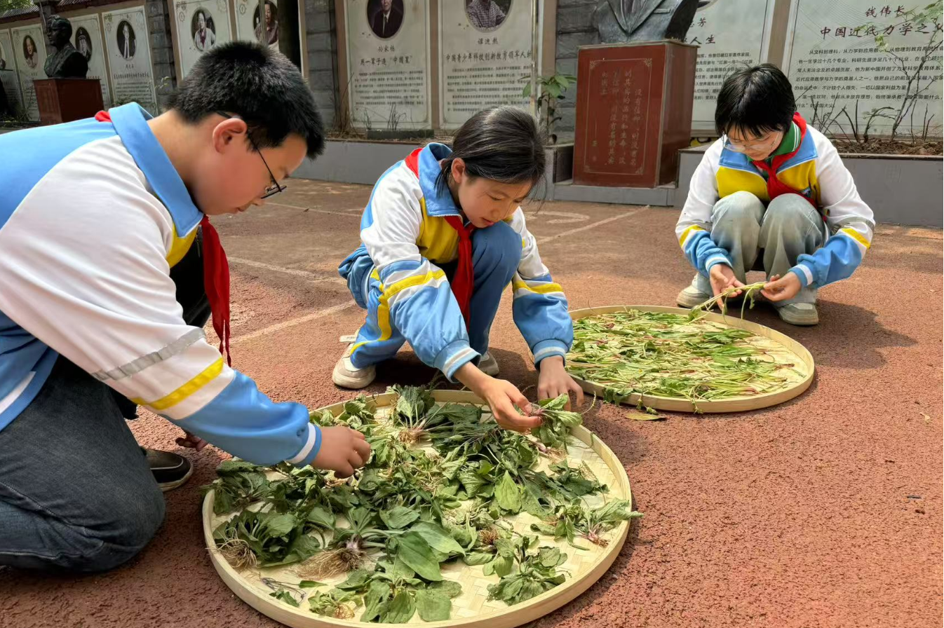 不烧钱的科学教育——湖南麻阳第一锦江小学“低耗高效”育人的破局之路