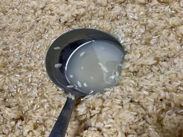 我是小小家乡推荐官【衡阳县站】湖之酒：家乡最香醇的味道