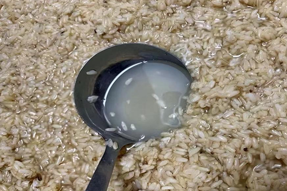 我是小小家乡推荐官【衡阳县站】湖之酒：家乡最香醇的味道