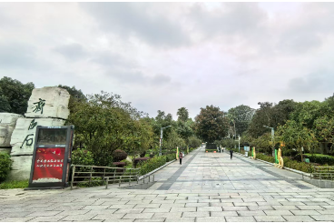 【雨湖区站】画意白石，韵动莲城，带你走进湘潭的艺术公园