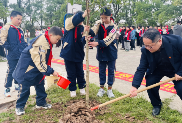 城乡携手植新绿，共育希望谱新篇 —— 沅江两校联盟办学植树活动点亮教育未来