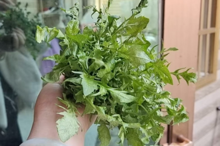 【慈利站】食春记