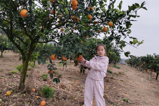 【耒阳站】难忘的东阳竹植物园之行