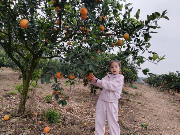【耒阳站】难忘的东阳竹植物园之行