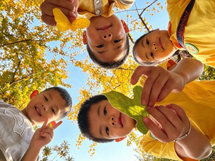 定格校园秋日浪漫｜湖南湘江新区岳麓幼儿教育集团万象城幼儿园：拾秋趣，遇秋美