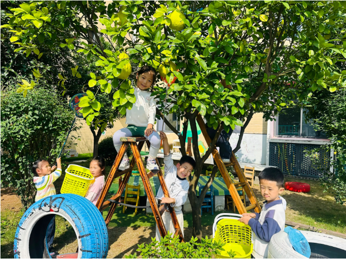 定格校园秋日浪漫｜长沙市望城区金山桥幼儿园：采摘寻秋，收获欢喜