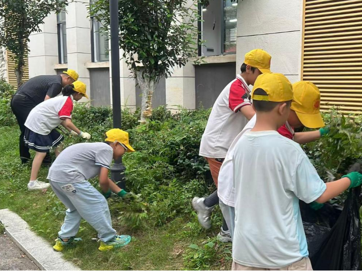 【祁东站】芙蓉学校：除草护绿，美化校园