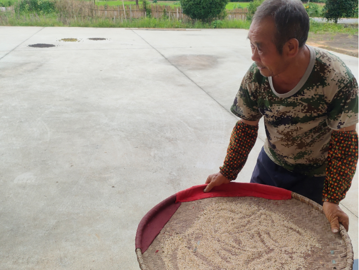 【衡阳县站】田地悟耕耘 勤奋励成长
