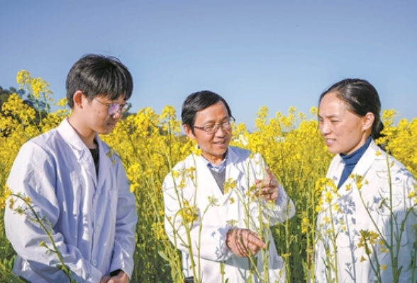 【2023新春走基层】湖南农业大学：农业专家让冬闲田增了效