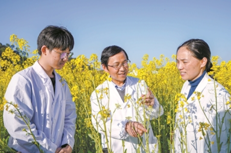 【2023新春走基层】湖南农业大学：农业专家让冬闲田增了效