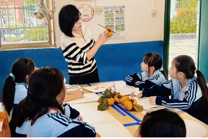 衡阳市石鼓区云旭山联校：开启别样的“柿”界奇妙之旅