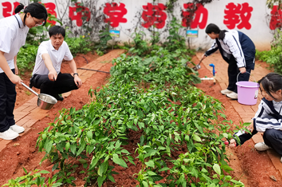 【衡阳县站】弘扬中学：劳动励心智，实践促成长