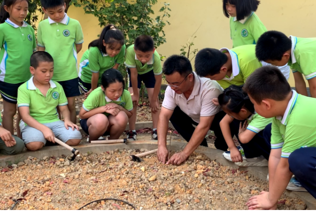 【雨湖区站】探索中药奥秘，雨湖区湘锰小学开展中草药种植科普活动