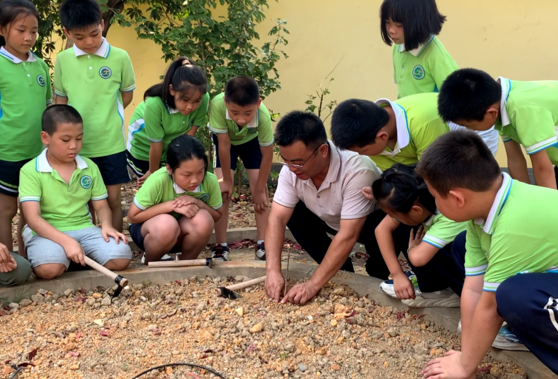 【雨湖区站】探索中药奥秘，雨湖区湘锰小学开展中草药种植科普活动