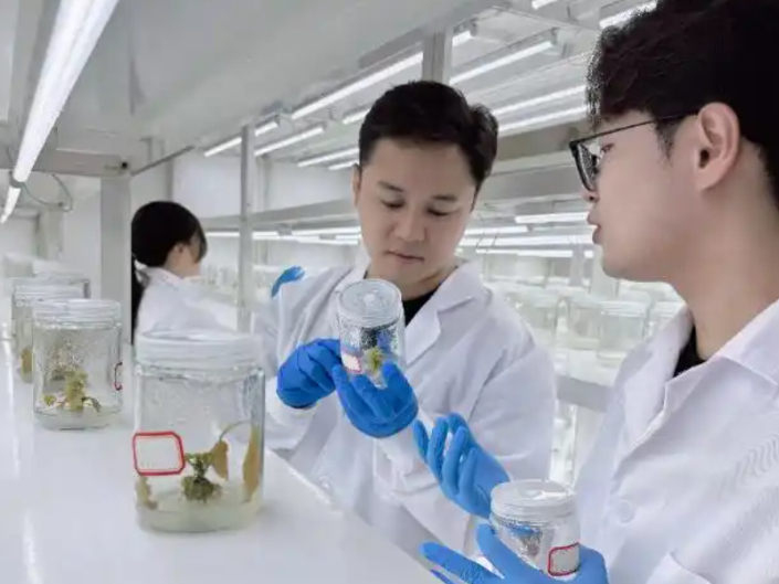 荒山结出“富民果”：一名大学生的创业路