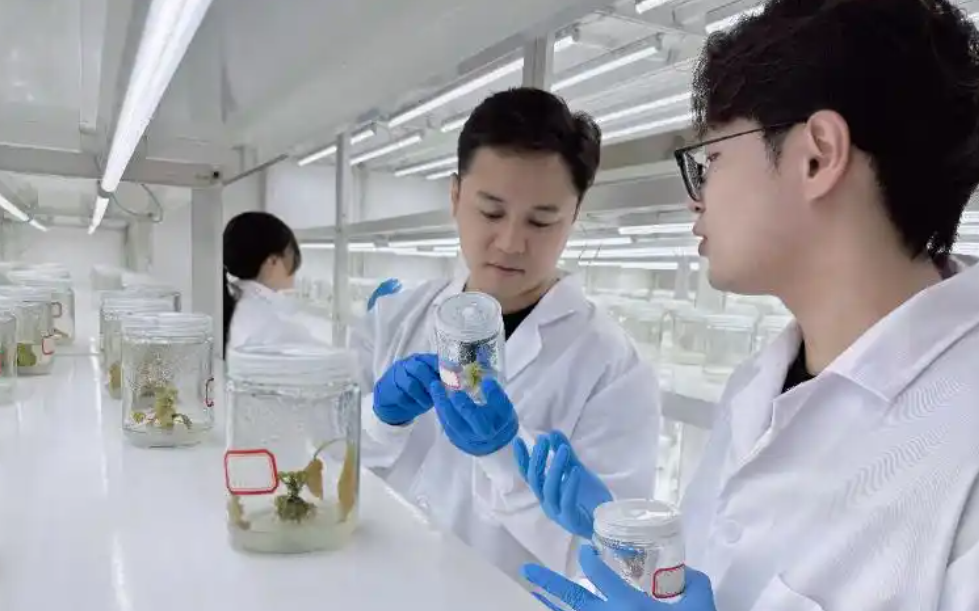 1765430380(1).jpg 1765430380(1).jpg