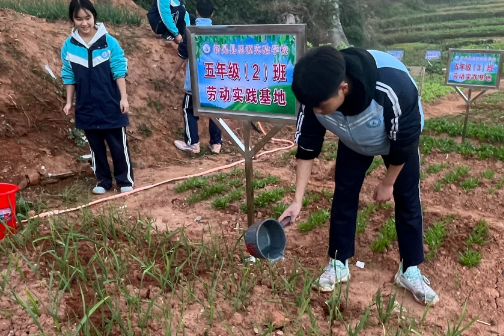 新晃思源实验学校：冬阳下的劳动课  菜园里长出“成长力”