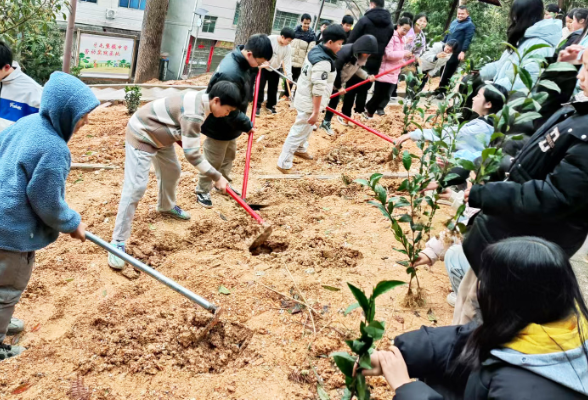 通道牙屯堡中学：千株茶苗育出实践新课堂