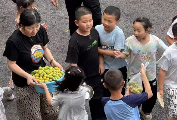岳阳市云溪区道仁矶学校：李满校园果芬芳 采摘劳动促成长