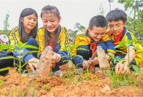 道县：多彩劳动课擦亮学生成长底色