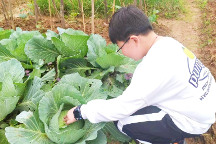 【衡东县站】新塘镇中心学校：争做劳动“小达人”