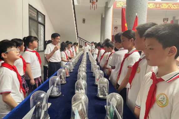 【耒阳站】五里牌小学：参观禁毒教育基地   筑牢校园安全“防毒墙”