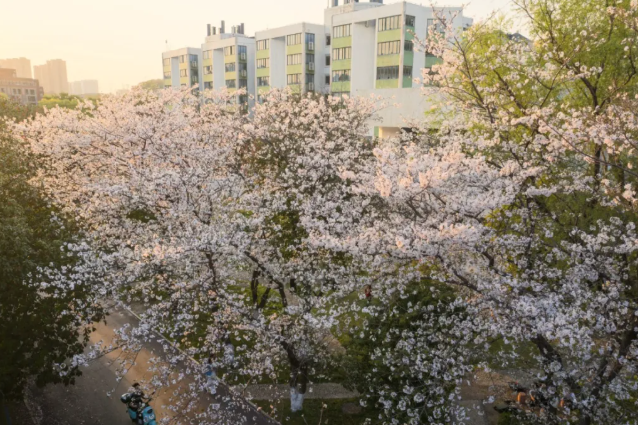 2025年多少分能上湖南大学？