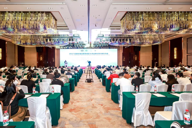 2025国际能源环境与先进材料研讨会在长沙举行